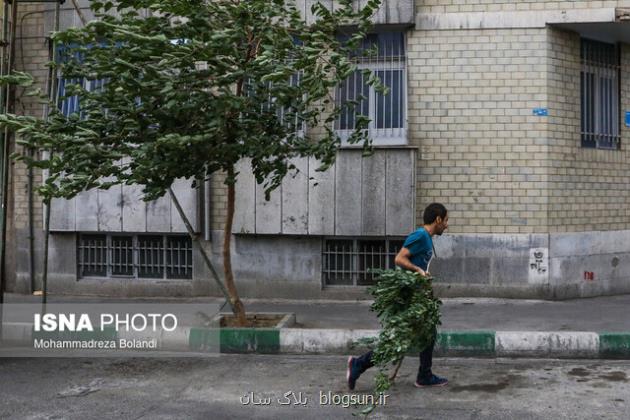 وزش باد شدید در نیمه جنوبی و غربی تهران